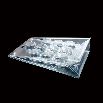 39000QM Produktionsfläche SH-0292 PET-Blisterverpackungen für Kosmetikprodukte für falsche Nägel